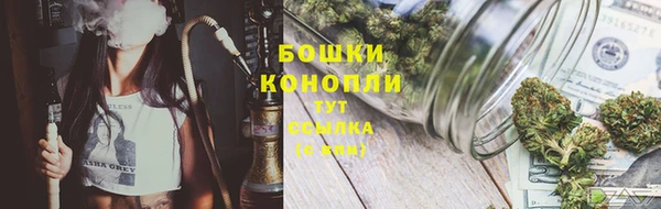 гидра Богородицк