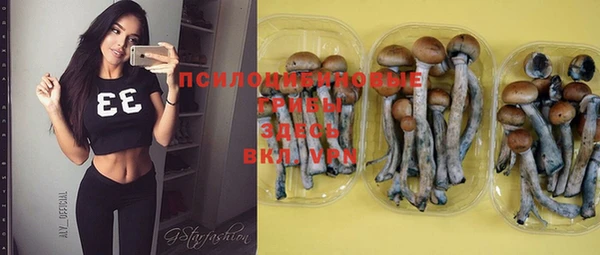 трава Богданович
