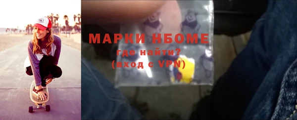 гидра Богородицк