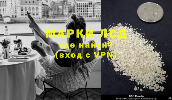 гидра Богородицк