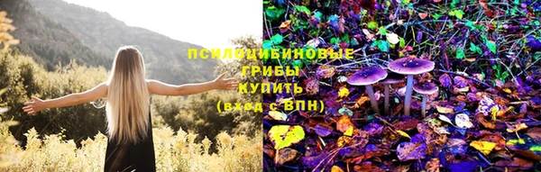 a pvp Богородск