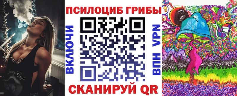 Купить  Поронайск  Псилоцибиновые грибы мицелий 